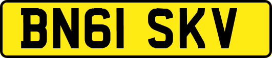 BN61SKV