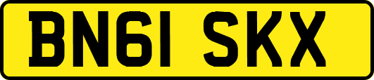 BN61SKX