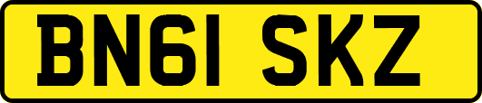 BN61SKZ