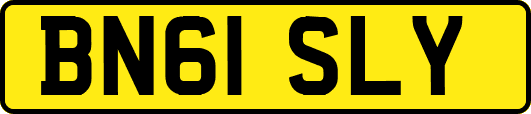 BN61SLY