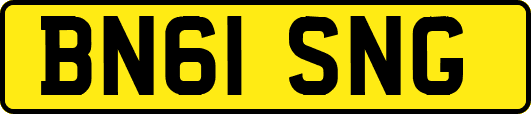 BN61SNG