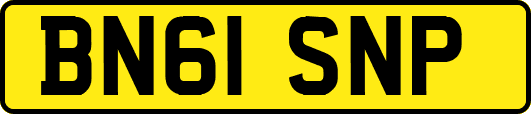 BN61SNP