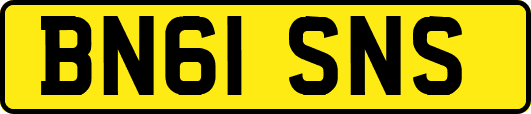 BN61SNS