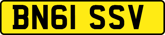 BN61SSV