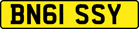BN61SSY
