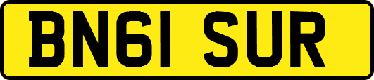 BN61SUR