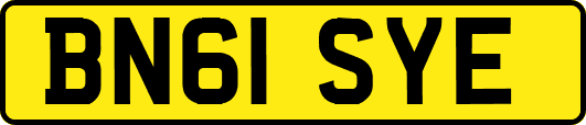 BN61SYE