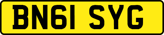 BN61SYG