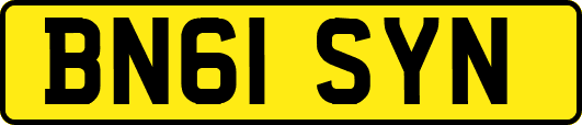 BN61SYN