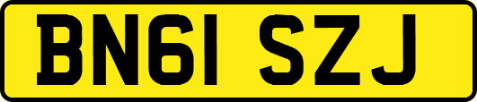 BN61SZJ