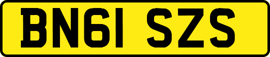BN61SZS