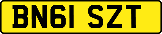 BN61SZT