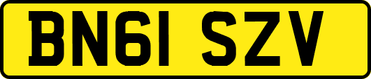BN61SZV