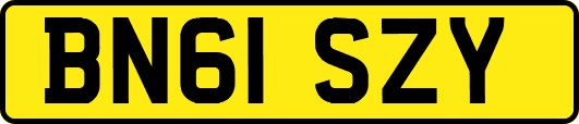BN61SZY