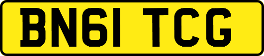 BN61TCG