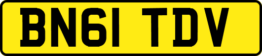 BN61TDV