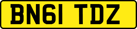 BN61TDZ