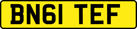 BN61TEF