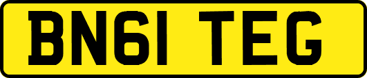 BN61TEG