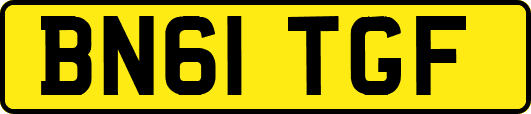 BN61TGF