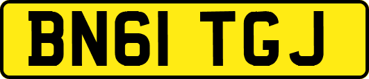 BN61TGJ