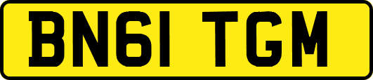 BN61TGM