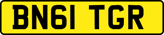BN61TGR