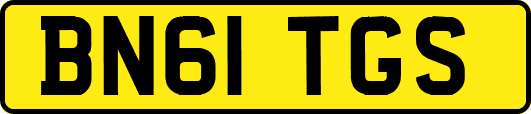 BN61TGS