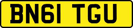 BN61TGU