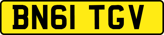 BN61TGV