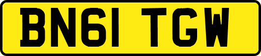 BN61TGW
