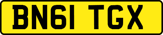 BN61TGX