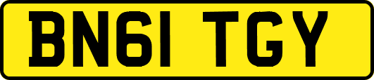 BN61TGY