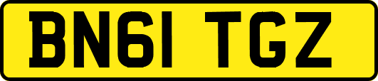 BN61TGZ