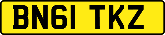 BN61TKZ