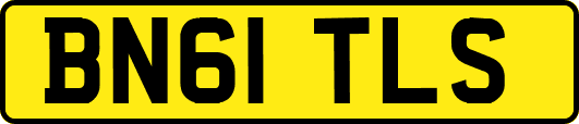 BN61TLS