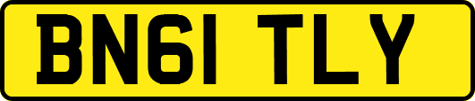 BN61TLY