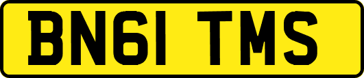 BN61TMS