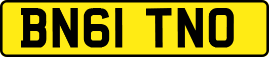 BN61TNO