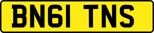 BN61TNS