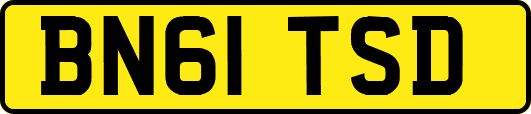 BN61TSD