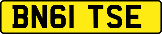 BN61TSE