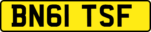 BN61TSF