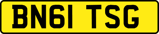 BN61TSG