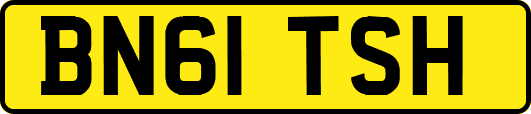 BN61TSH