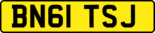 BN61TSJ