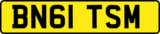 BN61TSM