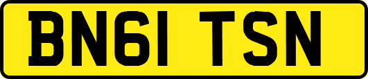 BN61TSN