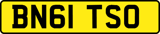 BN61TSO