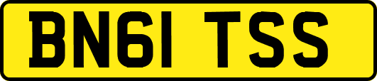 BN61TSS